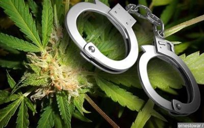 Update in the law: Marijuana Offenses in Kansas City, Missouri